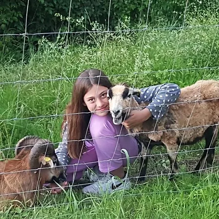 Fattoria Camilla Calzaiolo