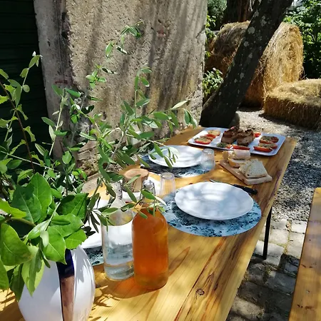 Fattoria Camilla Bed & Breakfast *