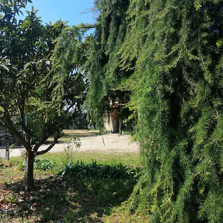 Fattoria Camilla Bed & Breakfast Calzaiolo