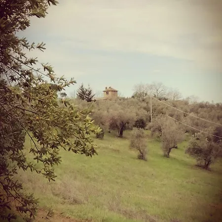 Fattoria Camilla Bed & Breakfast